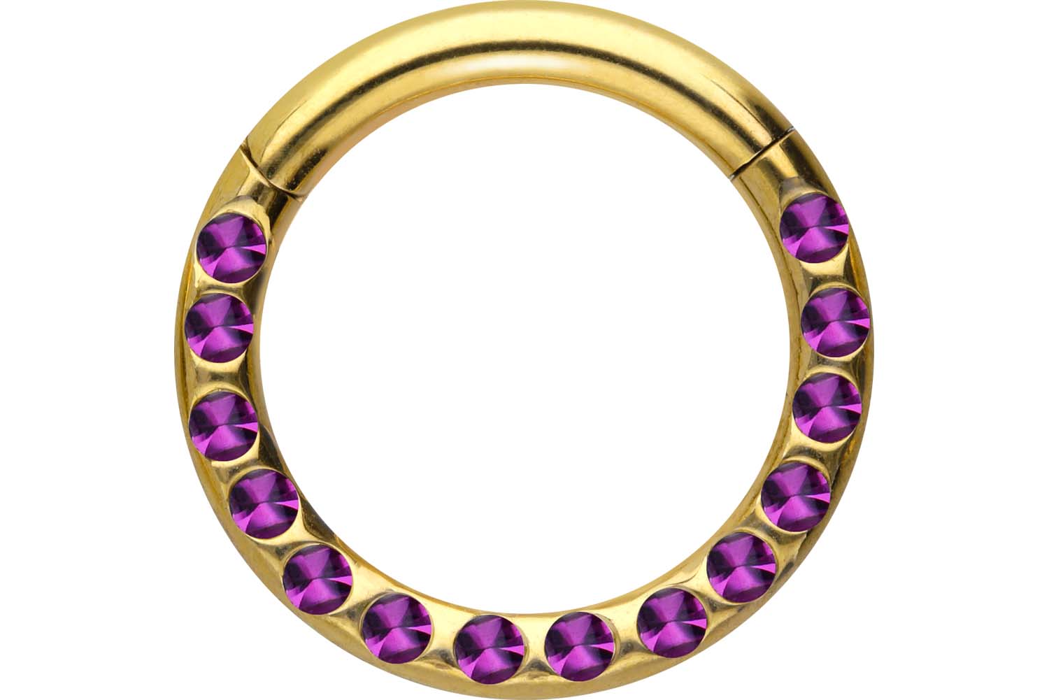 Chirurgenstahl Segmentring Clicker Piercing KRISTALLE + EPOXY ++SALE++
